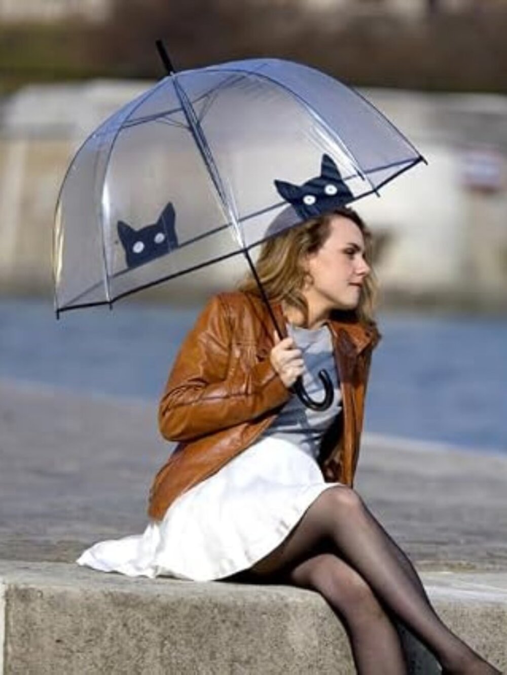 Cat Print Clear Bubble Umbrella